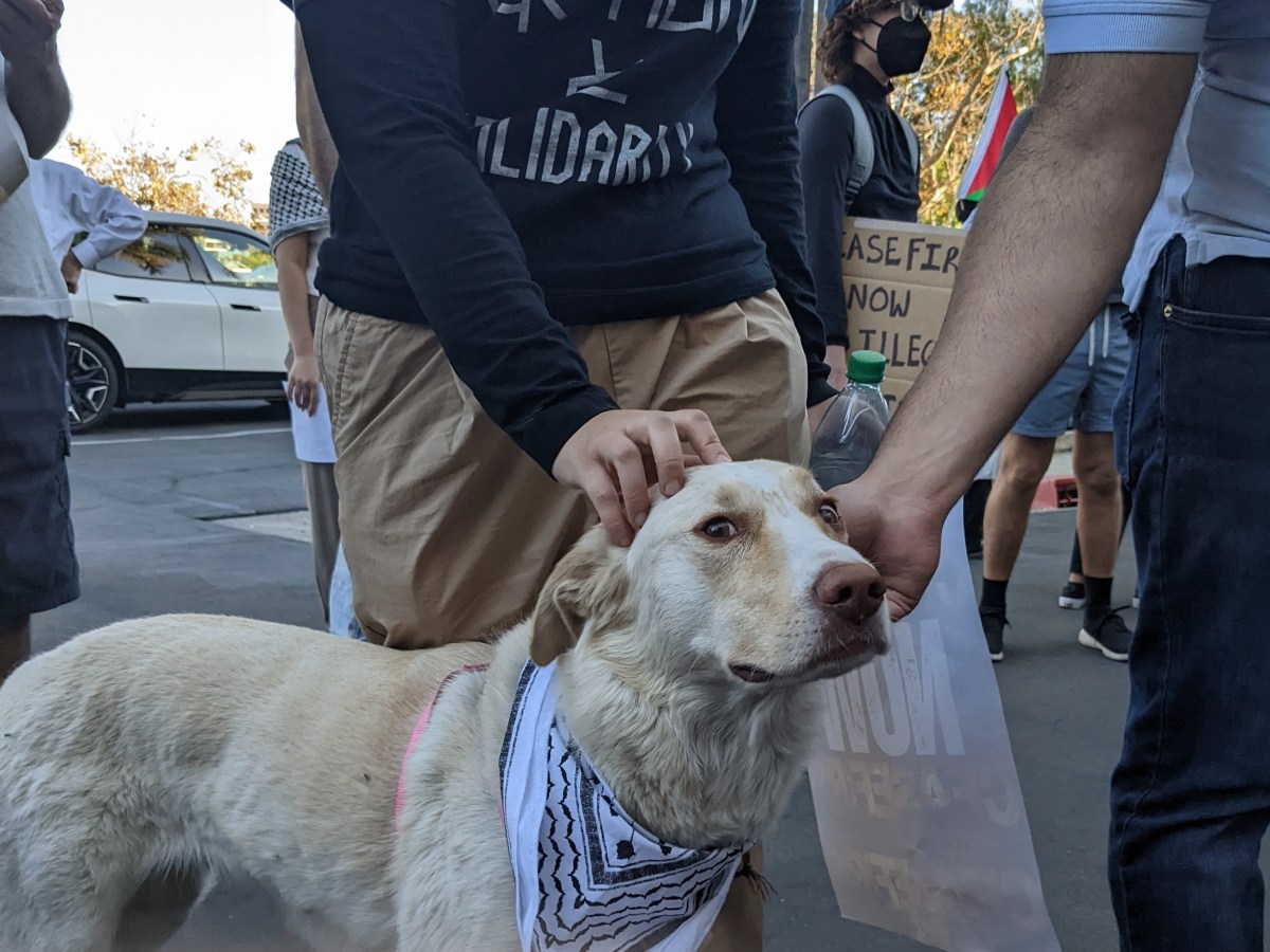 Poetry for Palestine: On Mosab Abutoha’s Charge to Make Art&nbsp;Now