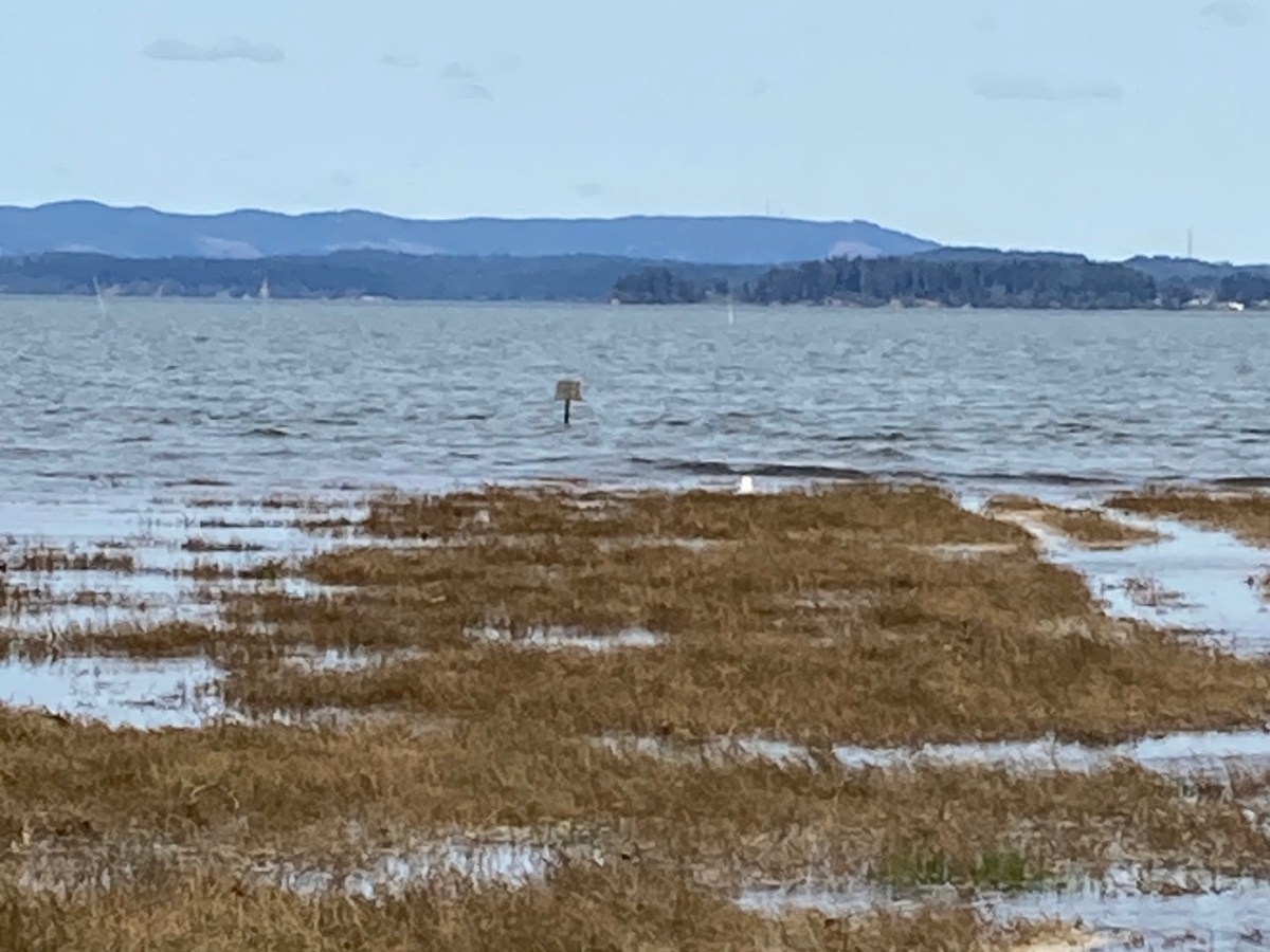 “Memory Box” in Querencia Press’s Not Ghosts but Spirits&nbsp;V